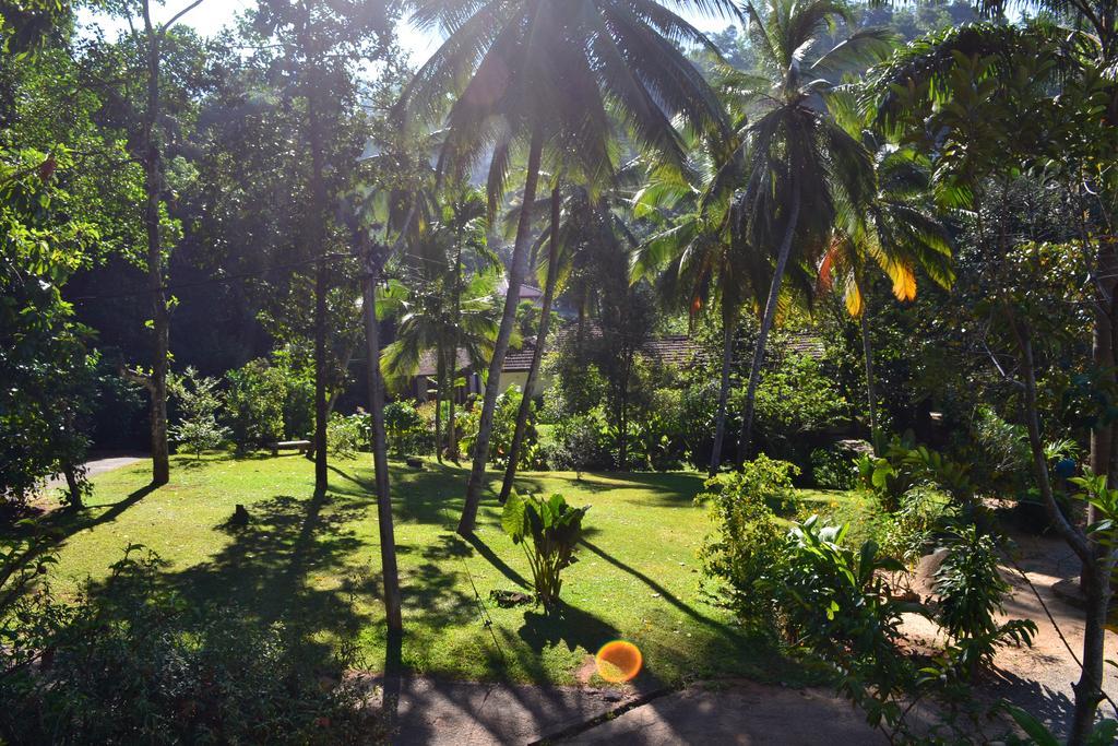 สวีท ซินนามอน Hotel แคนดี้ ภายนอก รูปภาพ